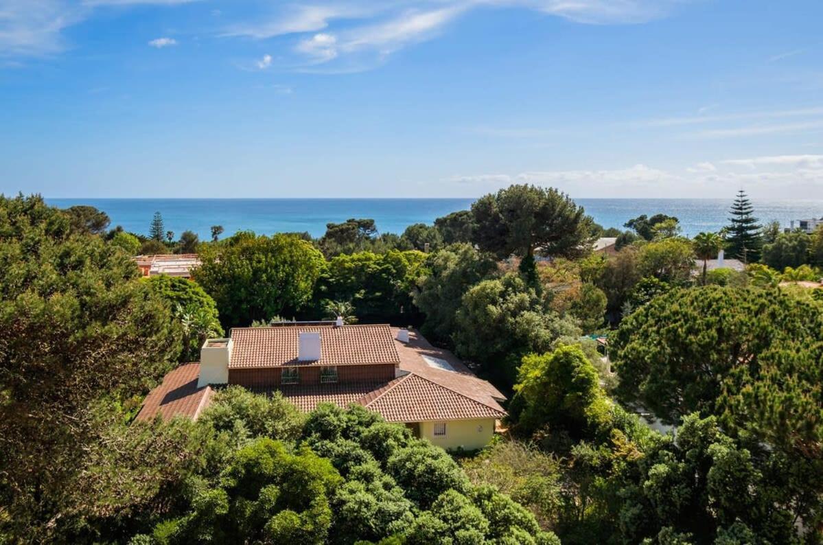 Luxury Sea View Διαμέρισμα Κασκαΐς Εξωτερικό φωτογραφία